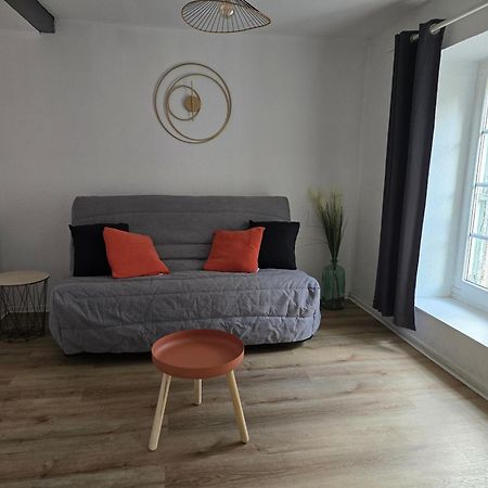 Superbe Appartement Au Coeur Du Centre Ville Каркассонн Екстер'єр фото