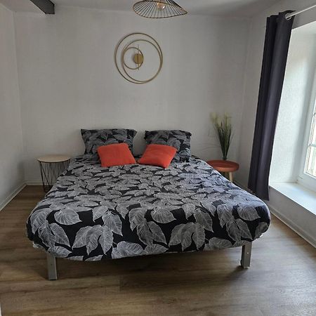 Superbe Appartement Au Coeur Du Centre Ville Каркассонн Екстер'єр фото